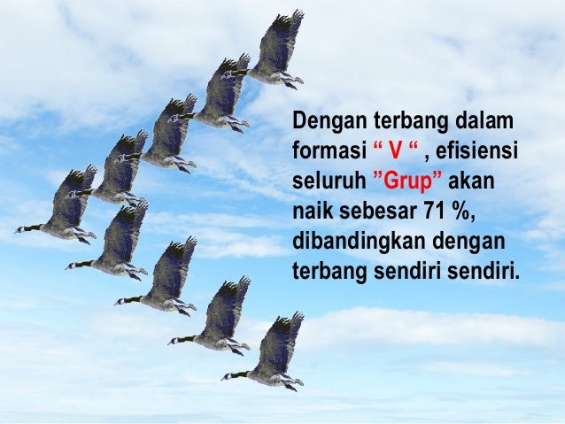 Motivasi Burung