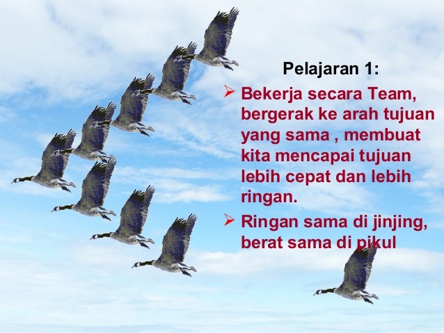 Motivasi Burung
