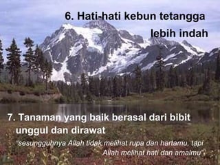 7. T anaman yang baik berasal dari bibit unggul dan dirawat “ sesungguhnya Allah tidak melihat rupa dan hartamu, tapi Allah melihat hati dan amalmu” 6. H ati-hati kebun tetangga  lebih indah 