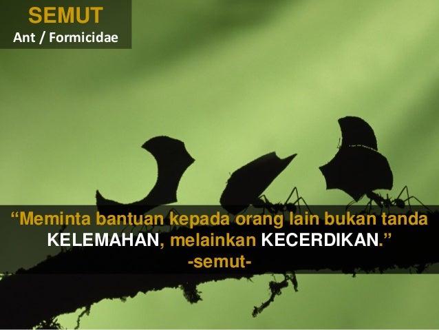 4300 Koleksi Gambar Motivasi Alam HD Terbaru