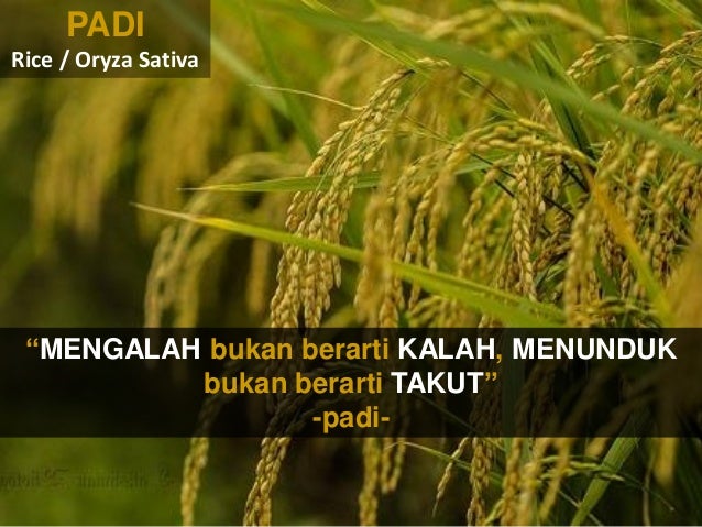 4300 Koleksi Gambar Motivasi Alam HD Terbaru