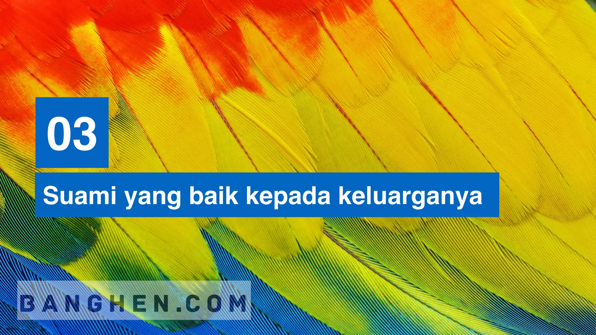 Kata motivasi diri: Kata motivasi hidup sukses jadi manusia terbaik | PDF
