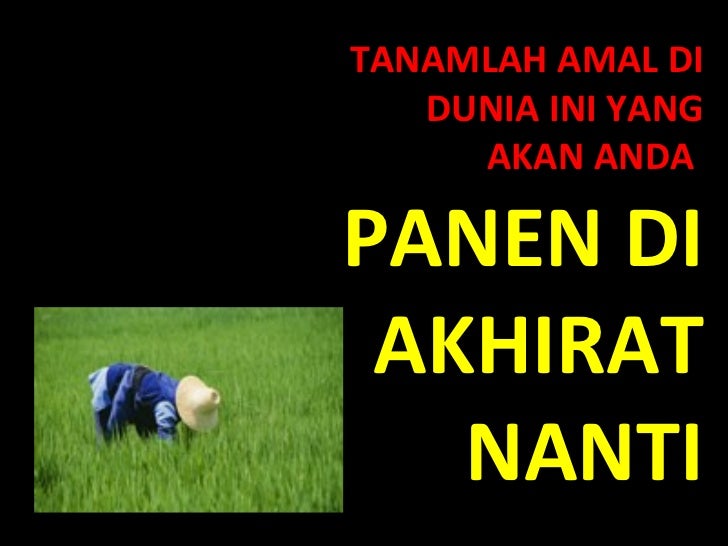 630 Koleksi Gambar Motivasi Untuk Akhirat Gratis Terbaru