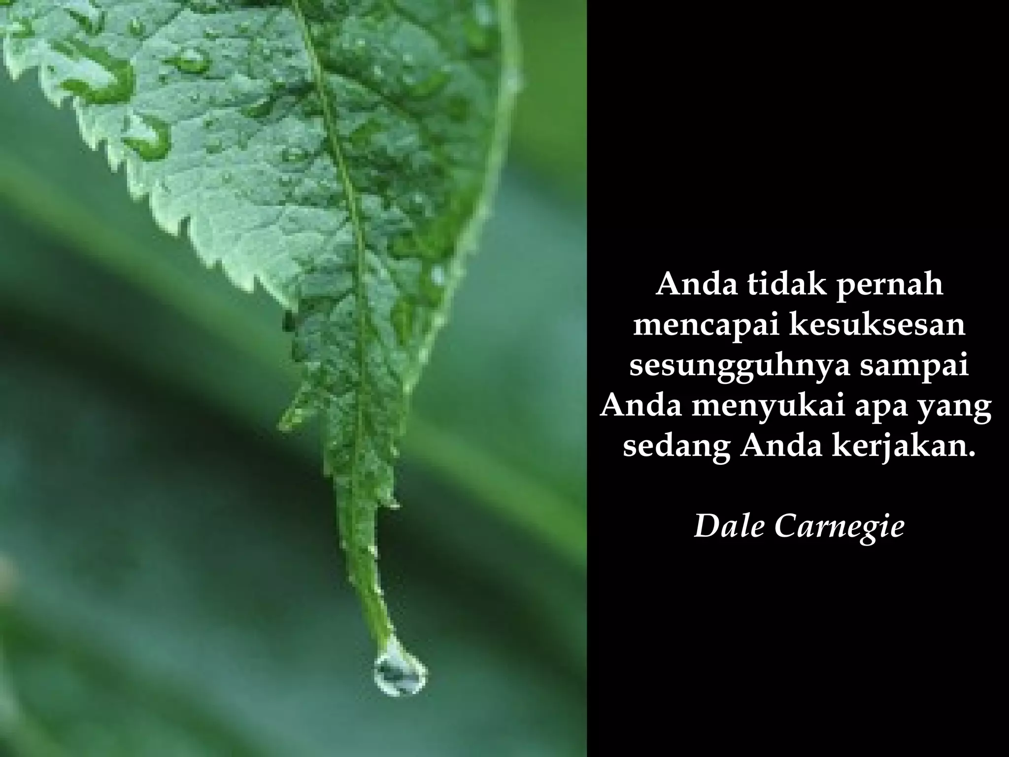 Anda tidak pernah
  mencapai kesuksesan
 sesungguhnya sampai
Anda menyukai apa yang
 sedang Anda kerjakan.

     Dale Carnegie
 