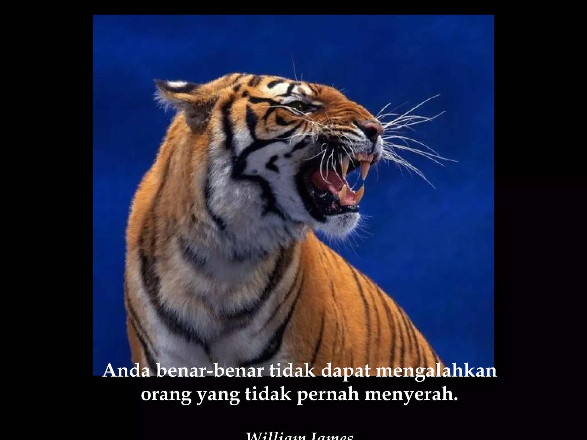 Anda benar-benar tidak dapat mengalahkan
   orang yang tidak pernah menyerah.
 