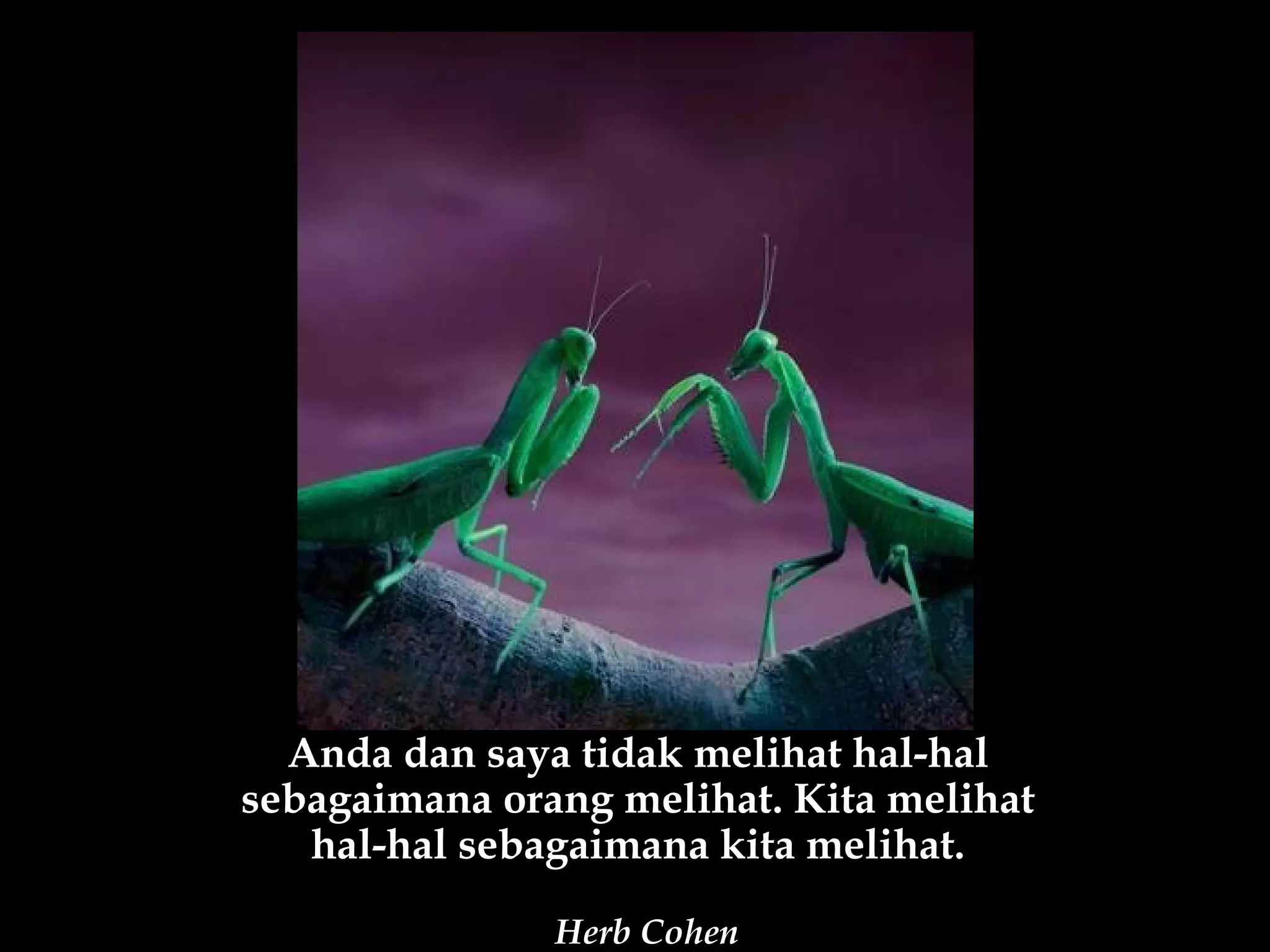 Anda dan saya tidak melihat hal-hal
sebagaimana orang melihat. Kita melihat
   hal-hal sebagaimana kita melihat.

               Herb Cohen
 