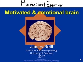 1
Motivation & Emotion
James Neill
Centre for Applied Psychology
University of Canberra
2017
Motivated & emotional brain
Image source:
http://commons.wikimedia.org/wiki/File:Brain_090407.jpg
 