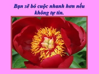 Bạn sẽ bỏ cuộc nhanh hơn nếuBạn sẽ bỏ cuộc nhanh hơn nếu
không tự tin.không tự tin.
 