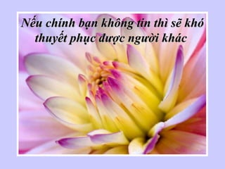 Nếu chính bạn không tin thì sẽ khóNếu chính bạn không tin thì sẽ khó
thuyết phục được người khácthuyết phục được người khác
 