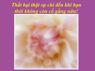 Thất bại thật sự chỉ đến khi bạn
thôi không còn cố gắng nữa!
 