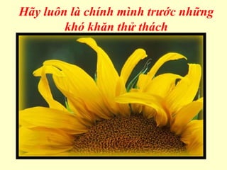 Hãy luôn là chính mình trước những
khó khăn thử thách
 