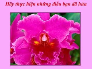 Hãy thực hiện những điều bạn đã hứa
 