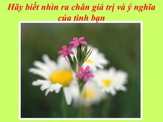 Hãy biết nhìn ra chân giá trị và ý nghĩa
của tình bạn
 