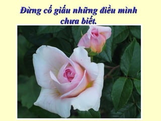 Đừng cố giấu những điều mìnhĐừng cố giấu những điều mình
chưa biết.chưa biết.
 