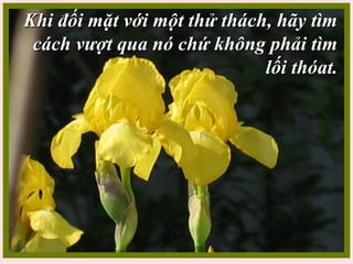 Khi đối mặt với một thử thách, hãy tìmKhi đối mặt với một thử thách, hãy tìm
cách vượt qua nó chứ không phải tìmcách vượt qua nó chứ không phải tìm
lối thóat.lối thóat.
 