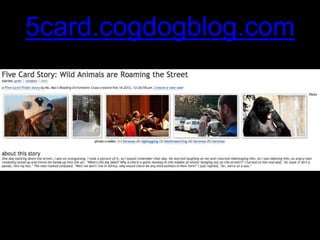 5card.cogdogblog.com
 