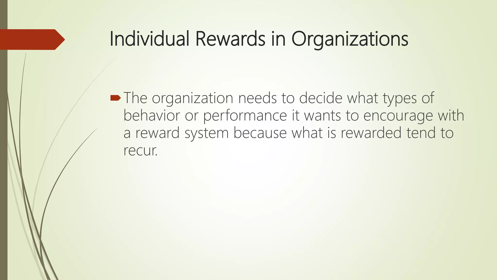 Individual Rewards in Organizations
The organization needs to decide what types of
behavior or performance it wants to encourage with
a reward system because what is rewarded tend to
recur.
 