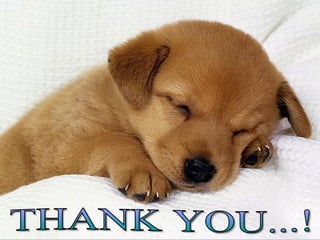THANK YOU...! 