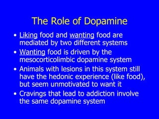 The Role of Dopamine Liking  food and  wanting  food are mediated by two different systems  Wanting  food is driven by the mesocorticolimbic dopamine system  Animals with lesions in this system still have the hedonic experience (like food), but seem unmotivated to want it  Cravings that lead to addiction involve the same dopamine system  
