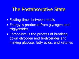 The Postabsorptive State  Fasting times between meals  Energy is produced from glycogen and triglycerides  Catabolism is the process of breaking down glycogen and triglycerides and making glucose, fatty acids, and ketones  