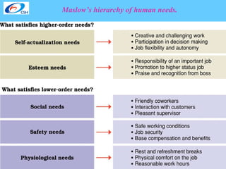 Maslow’s hierarchy of human needs. 