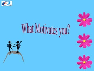 What Motivates you? 