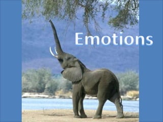Emotions