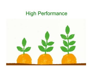 High Performance 