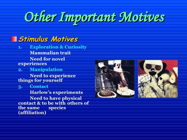 Stimulus Motives Psychology Stimulus Motives Psychology