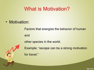 What is Motivation?
• Motivation:
Factors that energize the behavior of human
and
other species in the world.
Example: “escape can be a strong motivation
for travel.”
 