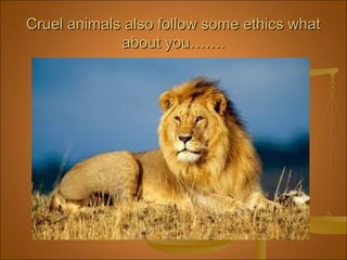 Cruel animals also follow some ethics whatCruel animals also follow some ethics what
about you…….about you…….
 
