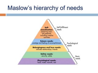 Maslow’s hierarchy of needs
 