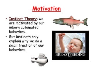 Motivation
• Instinct Theory: we
are motivated by our
inborn automated
behaviors.
• But instincts only
explain why we do a
small fraction of our
behaviors.
 