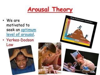 Arousal Theory
• We are
motivated to
seek an optimum
level of arousal.
• Yerkes-Dodson
Law
 