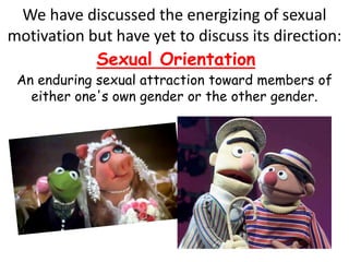 We have discussed the energizing of sexual
motivation but have yet to discuss its direction:
Sexual Orientation
An enduring sexual attraction toward members of
either one's own gender or the other gender.
 