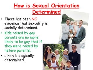 How is Sexual Orientation
Determined
• There has been NO
evidence that sexuality is
socially determined.
• Kids raised by gay
parents are no more
likely to be gay that if
they were raised by
hetero parents.
• Likely biologically
determined.
 