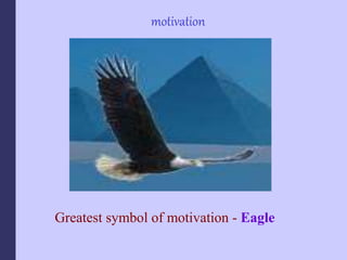 motivation
Greatest symbol of motivation - Eagle
 