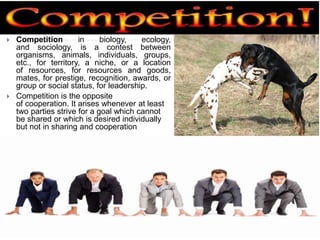  Competition in biology, ecology,
and sociology, is a contest between
organisms, animals, individuals, groups,
etc., for territory, a niche, or a location
of resources, for resources and goods,
mates, for prestige, recognition, awards, or
group or social status, for leadership.
 Competition is the opposite
of cooperation. It arises whenever at least
two parties strive for a goal which cannot
be shared or which is desired individually
but not in sharing and cooperation
 