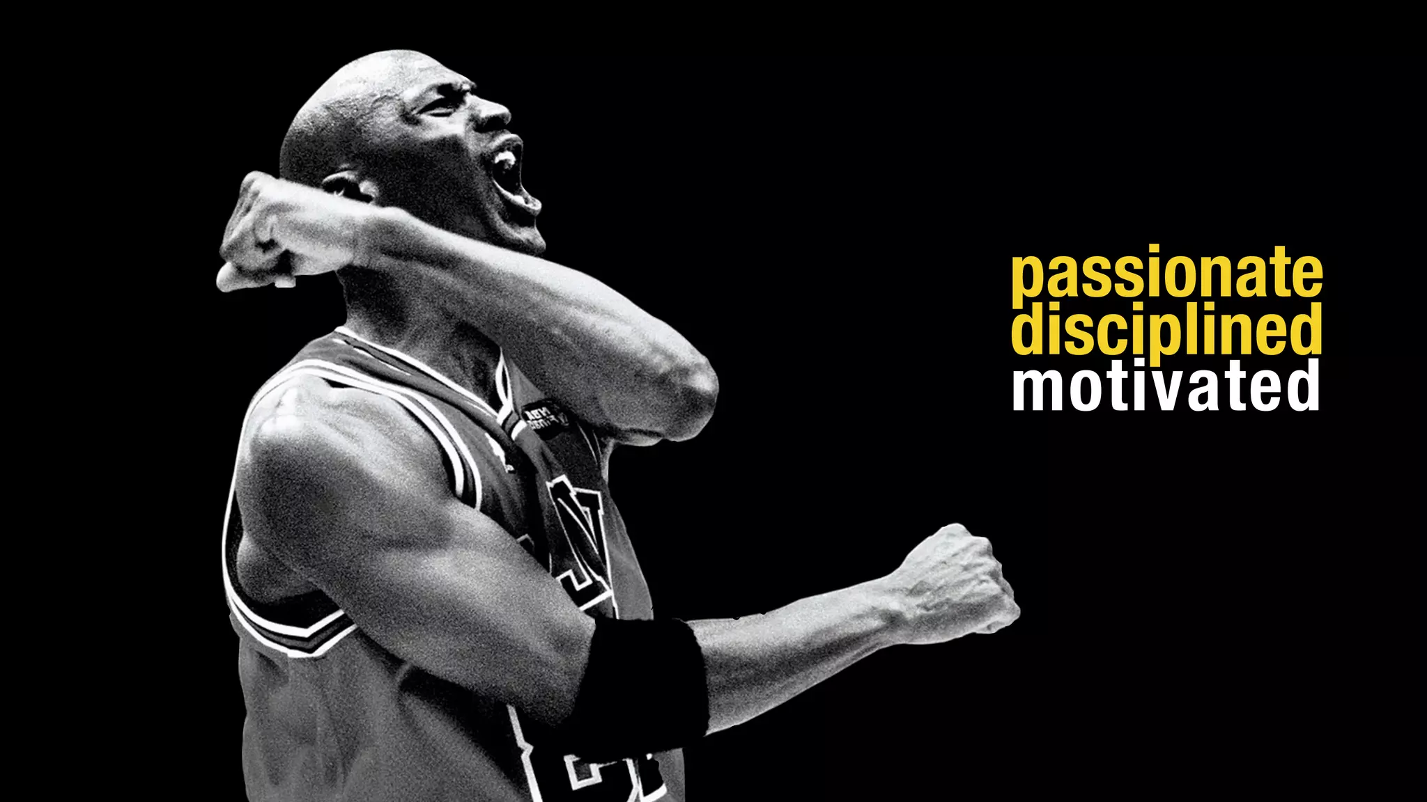 passionate
disciplined
motivated
 