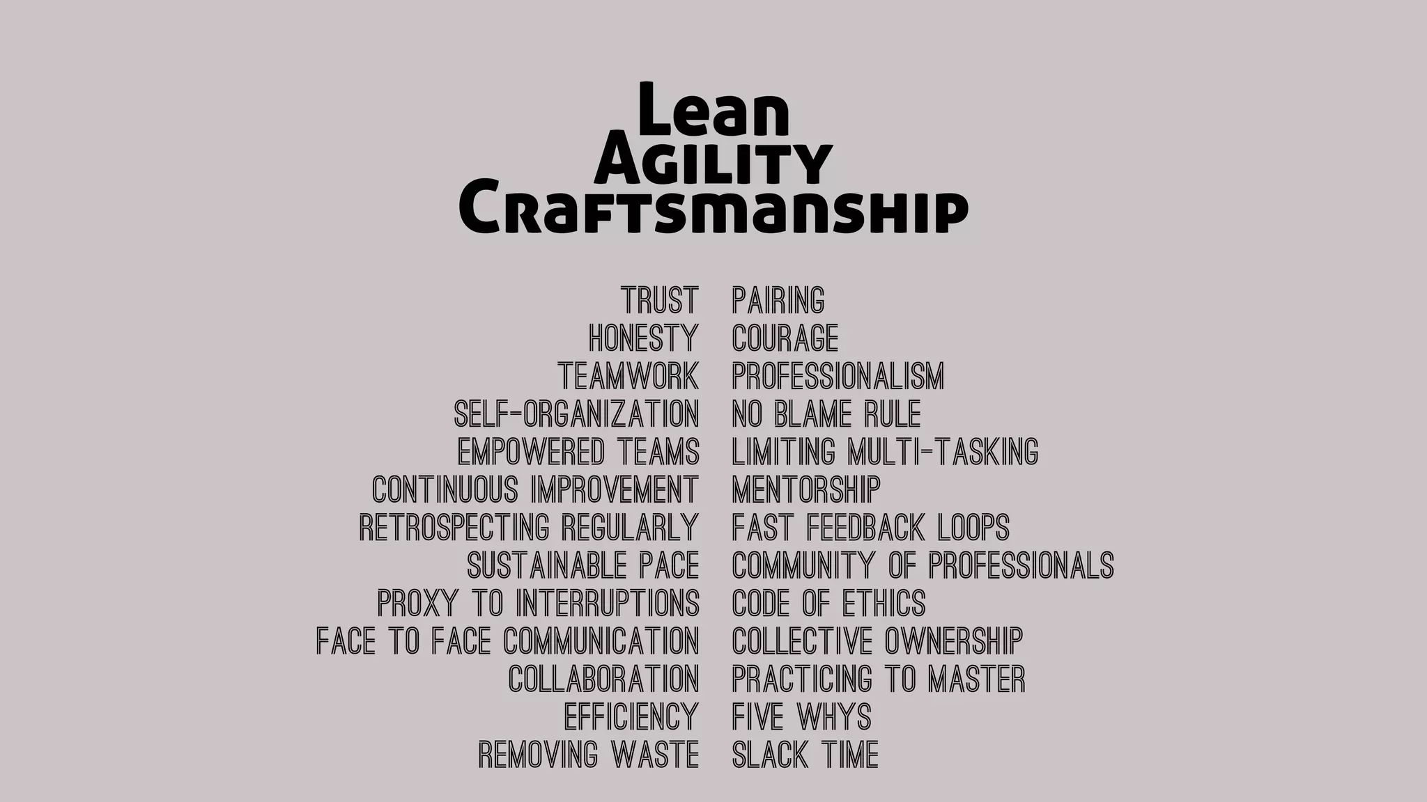 Lean
Craftsmanship
Agility
Trust
Honesty
Teamwork
Self-Organization
Empowered Teams
Continuous Improvement
Retrospecting Regularly
Sustainable Pace
Proxy to InterRuptions
Face to face Communication
Collaboration
Efficiency
Removing Waste
Pairing
courage
Professionalism
No Blame Rule
Limiting multi-tasking
Mentorship
Fast Feedback Loops
Community of Professionals
Code of Ethics
Collective Ownership
Practicing to Master
Five Whys
Slack Time
 