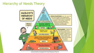 Hierarchy of Needs Theory
 