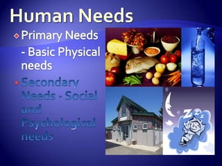 Human NeedsPrimary Needs 	- Basic Physical needsSecondary Needs	 - Social and Psychological needs