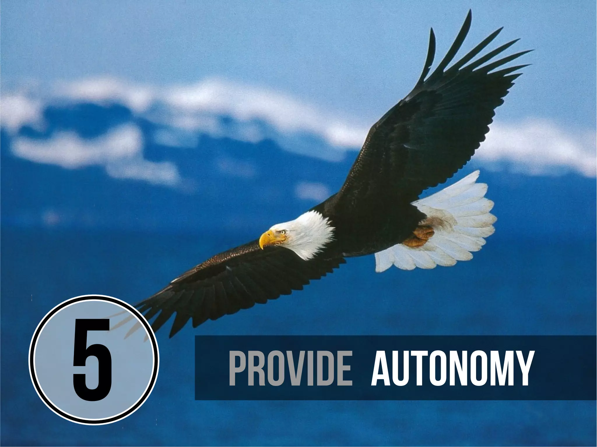 5   provide autonomy
 