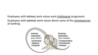 Employees with intrinsic work values want challenging assignment.
Employees with extrinsic work values desire some of the consequences
of working.
 