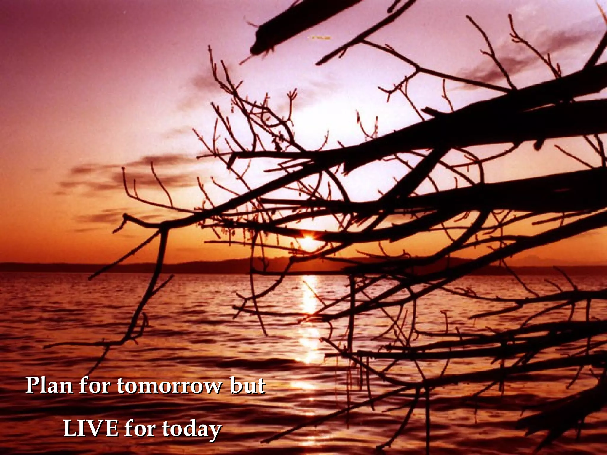 Plan for tomorrow butPlan for tomorrow but
LIVE for todayLIVE for today
 