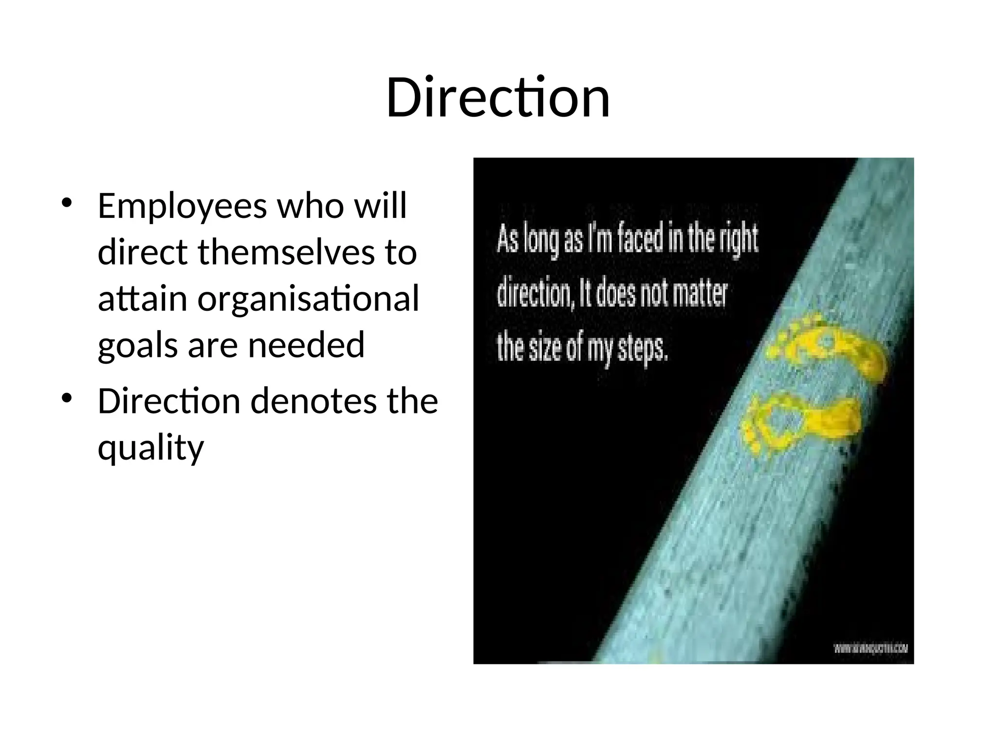 Direction
• Employees who will
direct themselves to
attain organisational
goals are needed
• Direction denotes the
quality
 