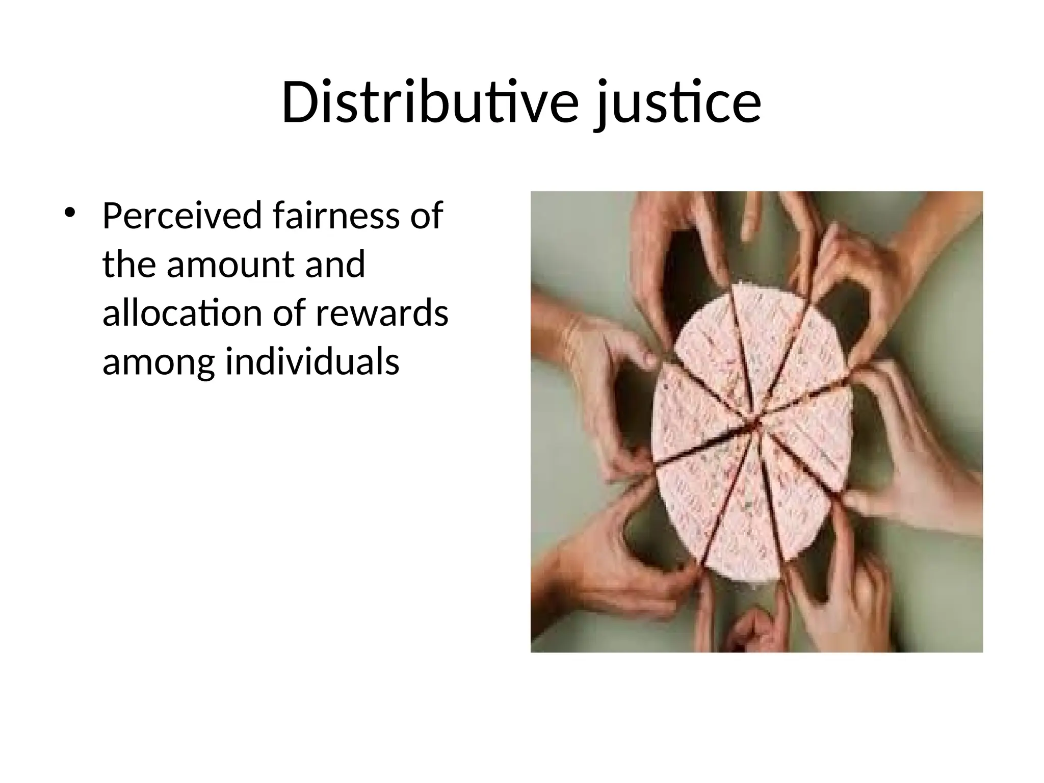 Distributive justice
• Perceived fairness of
the amount and
allocation of rewards
among individuals
 