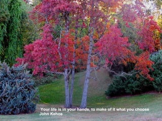 Your life is in your hands, to make of it what you choose John Kehoe 