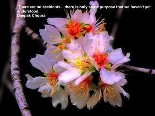 There are no accidents... there is only some purpose that we haven't yet understood. Deepak Chopra 