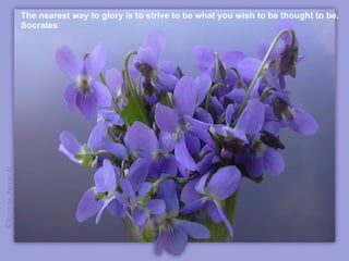 The nearest way to glory is to strive to be what you wish to be thought to be. Socrates 